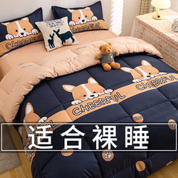 Quilt 2025 New Model Winter Thickened Warm Quilt Cotton Quilt Spring, Autumn, Winter Single Student Dormitory Quilt Core 5kg