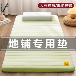 Floor Sleeping Mat, Home Mattress, Soft Cushion, Moisture-Proof Floor Mat, Floor-Laying Tool, Special Mat for Renting, Student Dormitory Single Bed