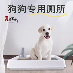 Use the toilet at a fixed location to prevent dogs from stepping on the toilet