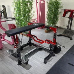 Commercial Gym Seal Rowing Machine Adjustable Deadlift Back Extension Barbell Seated Back Extension Training Equipment for Back Training