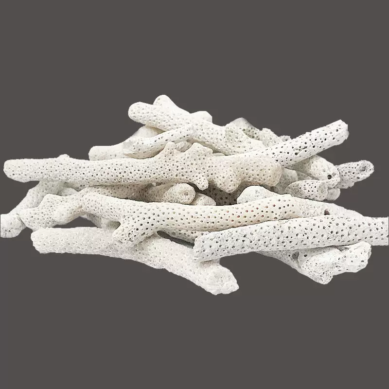 天然 特大 白化サンゴ 珊瑚 白サンゴ 菊目石 園芸 水草 アクアリウム