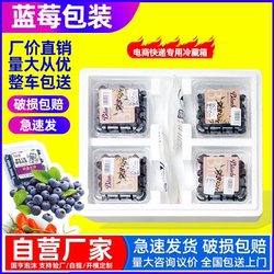 Blueberry Foam Box Refrigerated Packaging Box 1.0kg Pack Special Express Delivery Box 8-Box Packaging Box Insulated Box Goji Berry Packaging Box