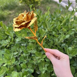 
Surrounding the Suojie Delta Red Wolf Eclipse Gold Rose DIY Handmade Gift Rose Flowers Valentine's Day Gift Ornaments