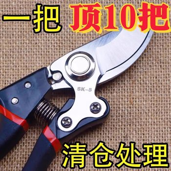 Pruning shears gardening and cutting branches and fruit trees special scissors pruning flowers, fruits, woods, grapes and scissors tools