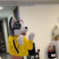 Boxing Husky Plush Toy Dog