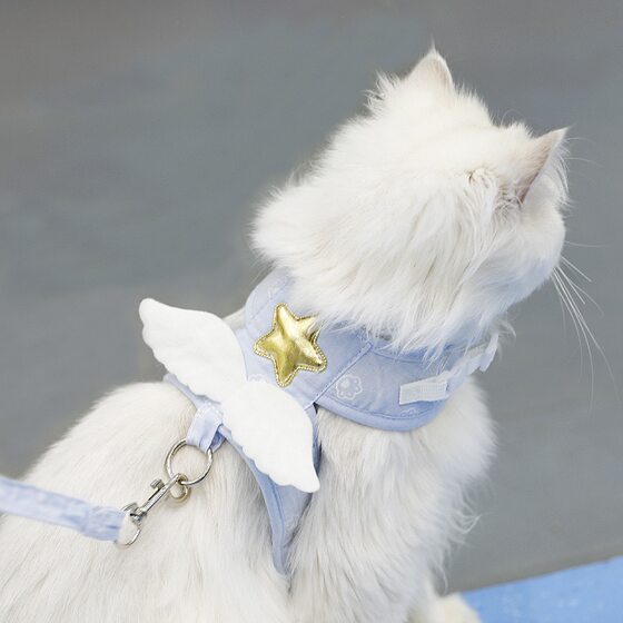 Angel wings Cat led a rope vest traction with dog kitten to go out to pull out of pet supplies
