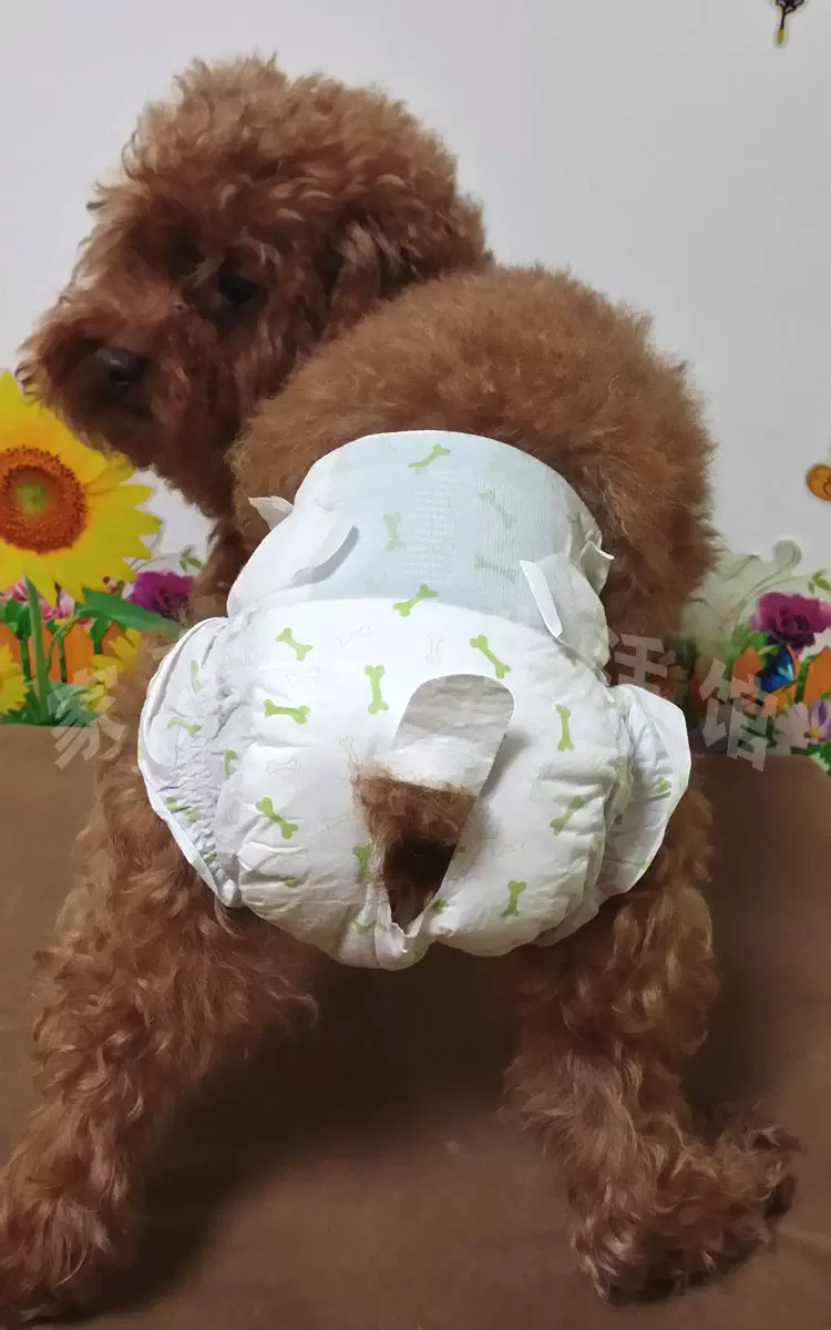 麻吉宝宠物尿垫猫狗尿片泰迪比熊幼犬尿不湿去味如厕清洁猫生产垫