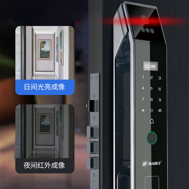 Golden Point Atomic Face recognition Fingerprint Lock Vision Smart Lock ...