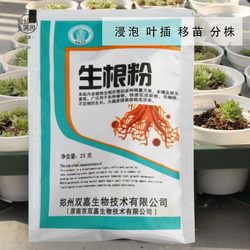 Brand rooting powder plant green plant transplant flower seedling strong root cutting multi-succulent leaf transplant flower seedling branch