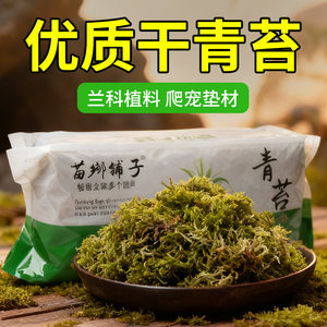 
Dry moss phalaenopsis, sphagnum moss orchid special plant material for climbing pet turtles hibernating, moss dendrobium pavement moisturizing and breathable