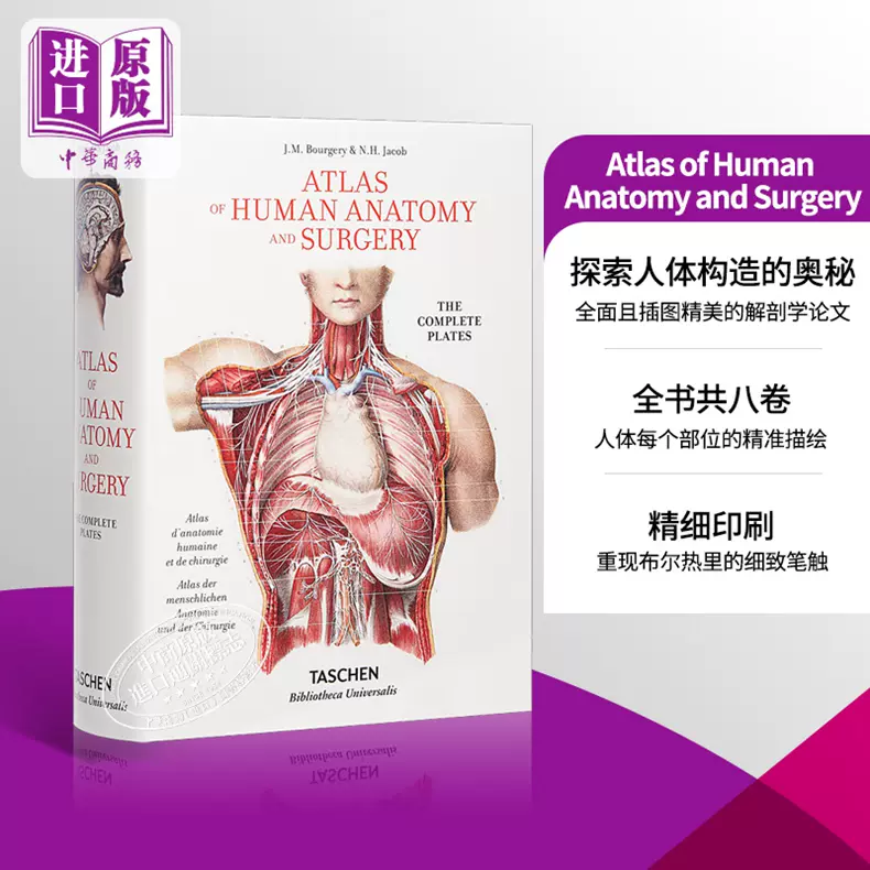 人体性解剖学図説 Atlas of Human Sex Anatomy - 健康/医学