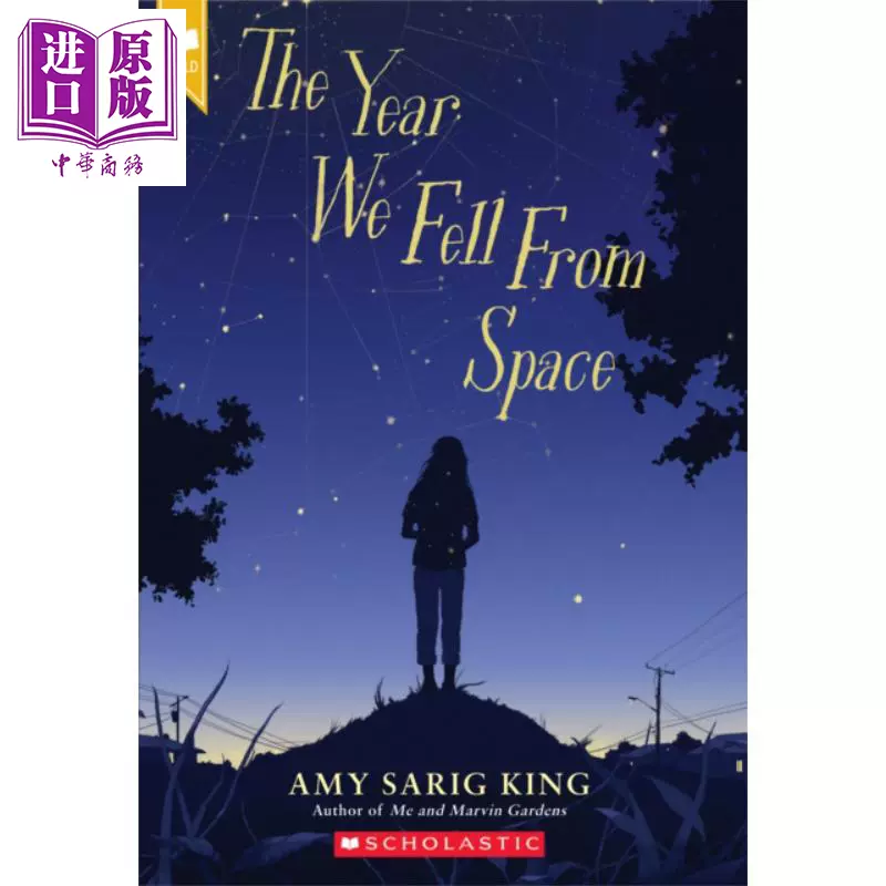我们从太空坠落的那一年英文原版the Year We Fell From Space Scholastic Gold Amy Sarig King 中商原版