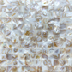 25 Large Shell Mosaic Tiles for Pool, Outdoor Flowerbed, Wall Tiles, Bathroom Background Wall, Balcony Wall Stickers