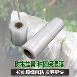 Moisturizing Film for Tree Bonsai, Plant Insulation Film, Cling Film, Grafting Film, Tree Trunk Wrapping Film