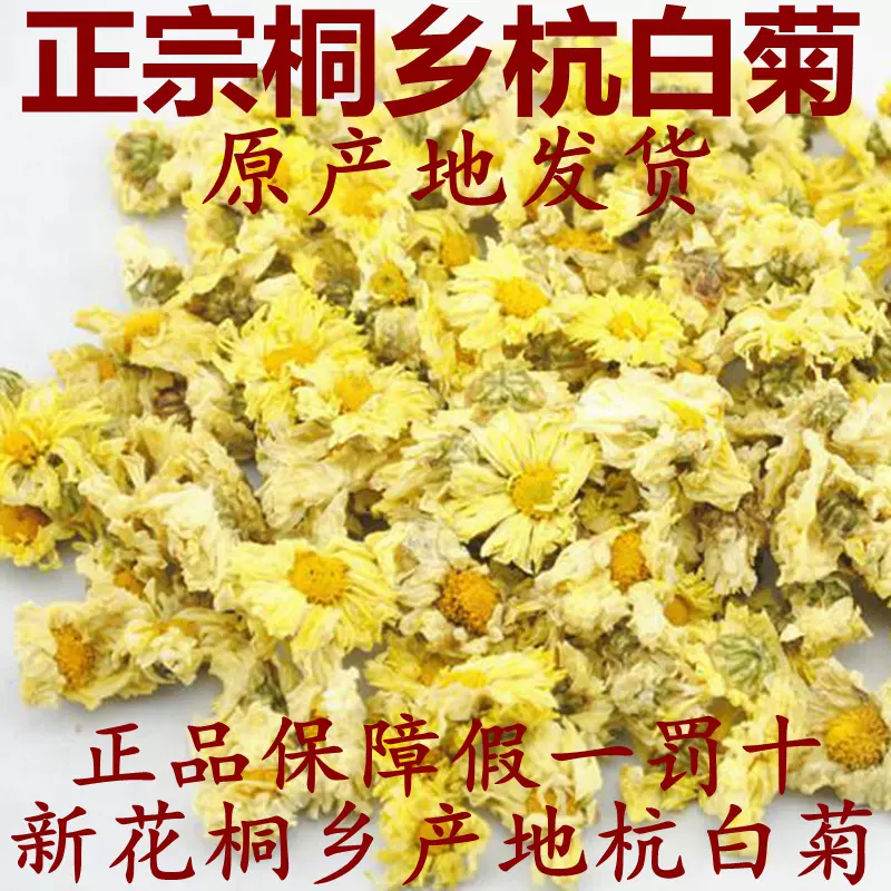 健康花茶新花正宗桐鄉特產杭白菊朵花產胎菊菊花茶250g500g朵杭菊-Taobao