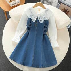 Girls Spring and Autumn Skirt Set 2025 Autumn Style Children's Clothing Two-Piece Set Medium and Large Children's Denim Dress Suspender Skirt