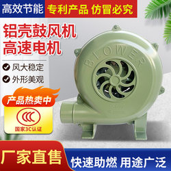 220V Powerful Small Household Blower for Firewood Stoves, High-Power Electric Blower for Barbecue and Wood-Burning Stoves