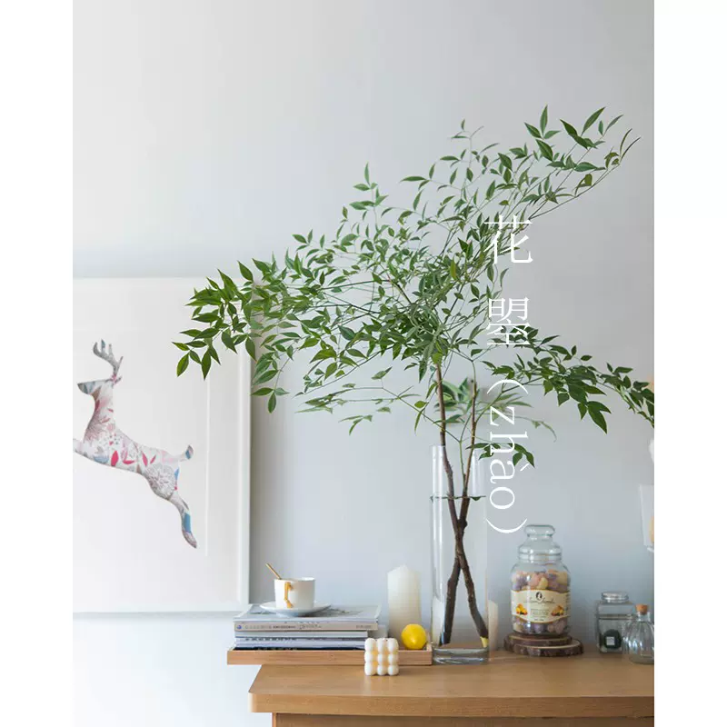 南天竹水培火焰南天竹水培鮮切水培枝條中式禪