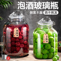 Special Wine Bottle for Soaking, High-End Thickened Glass Empty Bottle, Green Plum Homemade Fruit Wine Container, Food-Grade Sealed Wine Jar