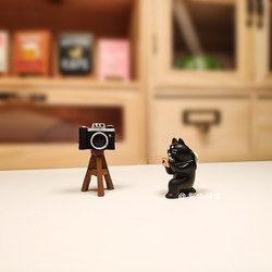 Cat Photography Camera Photography Props Ornaments Japanese Cute Micro Landscape Scene with Zakka Christmas