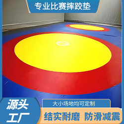 Wrestling Mat, Special Floor Mat for Competition Training, Single Martial Arts, Sanda, Fighting, Taekwondo, Freestyle Wrestling Mat