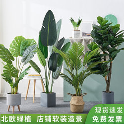 Nordic-Style Artificial Green Plants, Areca Palm, Monstera, Traveler's Banana, Indoor Floor-Standing Decorative Fake Tree Potted Ornaments