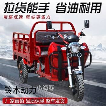 New Suzuki Powered Gasoline Tricycle Agricultural Fuel Small Household Load King Freight Tricycle