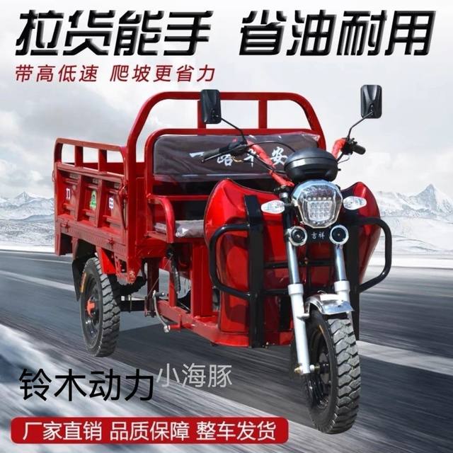 New Suzuki Powered Gasoline Tricycle Agricultural Fuel Small Household Load King Freight Tricycle