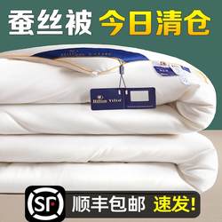 Export A+ Silk Quilt 100% Mulberry Silk Spring and Autumn Quilt Genuine Cotton Summer Cooling Quilt Core Double Quilt Thickened Winter Quilt