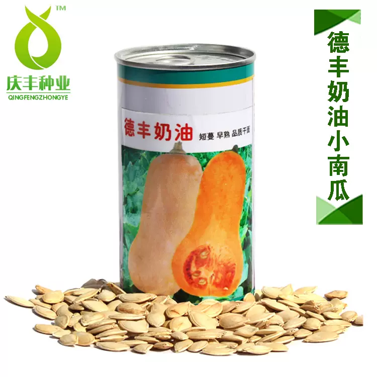 奶油南瓜种子烧烤型短蔓小南瓜南美蜜本南瓜早熟阿根廷水果