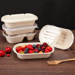 Zhengcheng Paper Pulp Box Pasta Light Meal Disposable Lunch Box Takeaway Salad Low-Fat Meal Box Oil-Proof Thickened Packaging Box