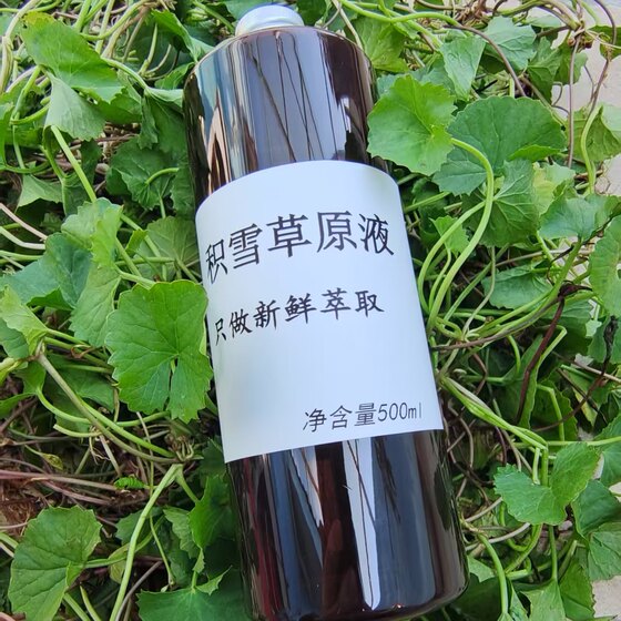 
Now it is done without adding a drop of water to extract Centella asiatica Thunder Roots Cell Liquid Solid Concentrated Essence