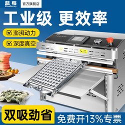Blueberry Electric External Vacuum Packaging Machine, Commercial Large-Scale Fully Automatic Vacuum Skin-Sealing Machine, Food Plastic Sealing Machine, Tea, Rice, Strawberry Vacuum Packaging Machine, Industrial Vacuum Machine
