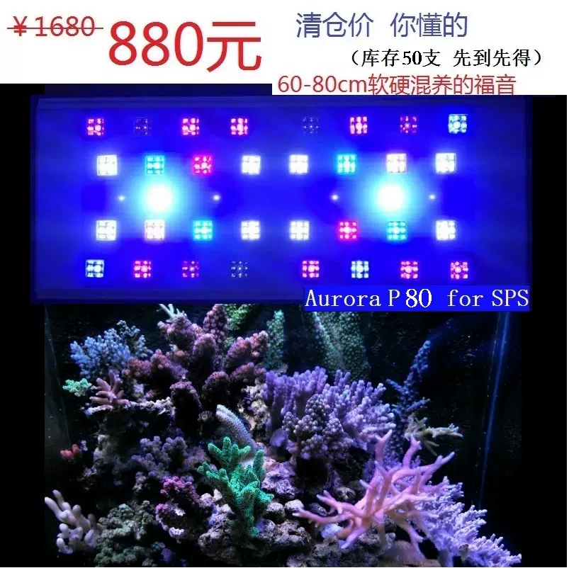 珊瑚　2 fe70ba5e4273ec74acdddc77604a2a