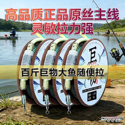 Imported Fishing Line Set, Main Line Set, Complete Set of Pre-Tied Fishing Lines, High-End Genuine Fishing Tackle