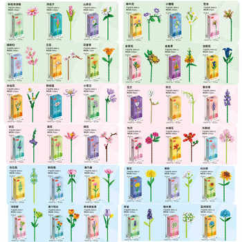 
Immortal Flower Small Particle June 1st Points Gift Puzzle