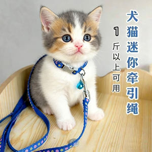 Kitten traction Cat special anti -break can regulate small milk cat tea cup dog puppies out of German walking cat ropes
