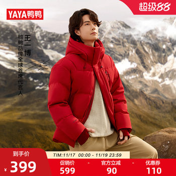 Duck short stand-up collar hooded down jacket for men