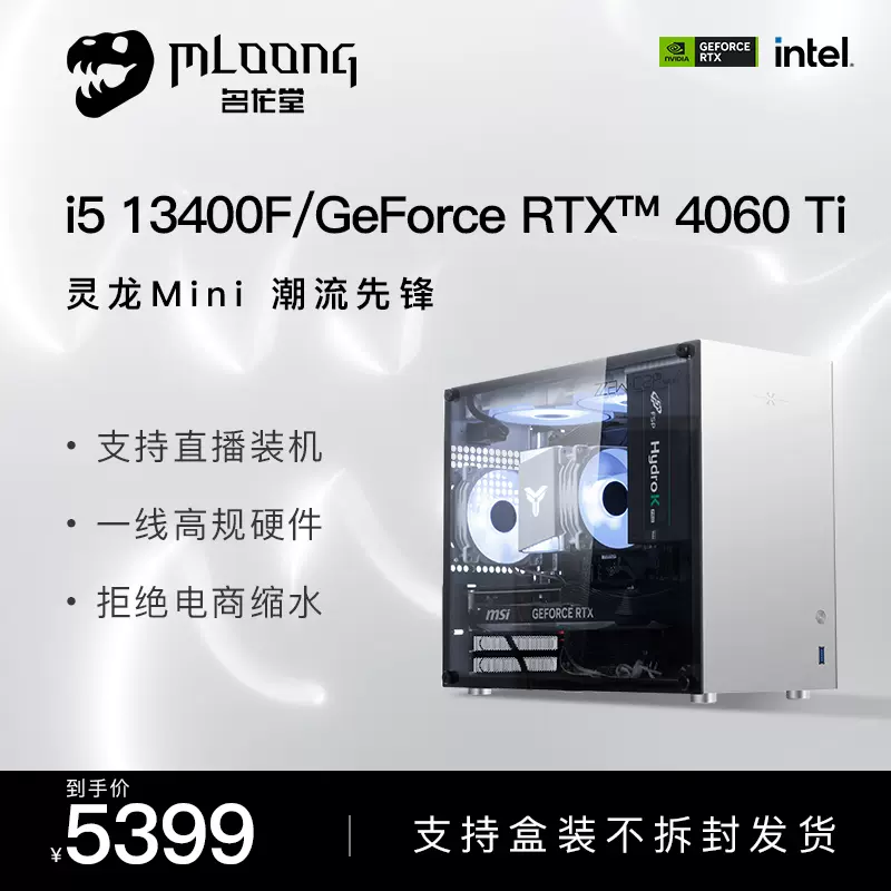 名龙堂i5 12400F/13400F升13490F/RTX4060Ti电脑主机台式吃鸡游戏电竞