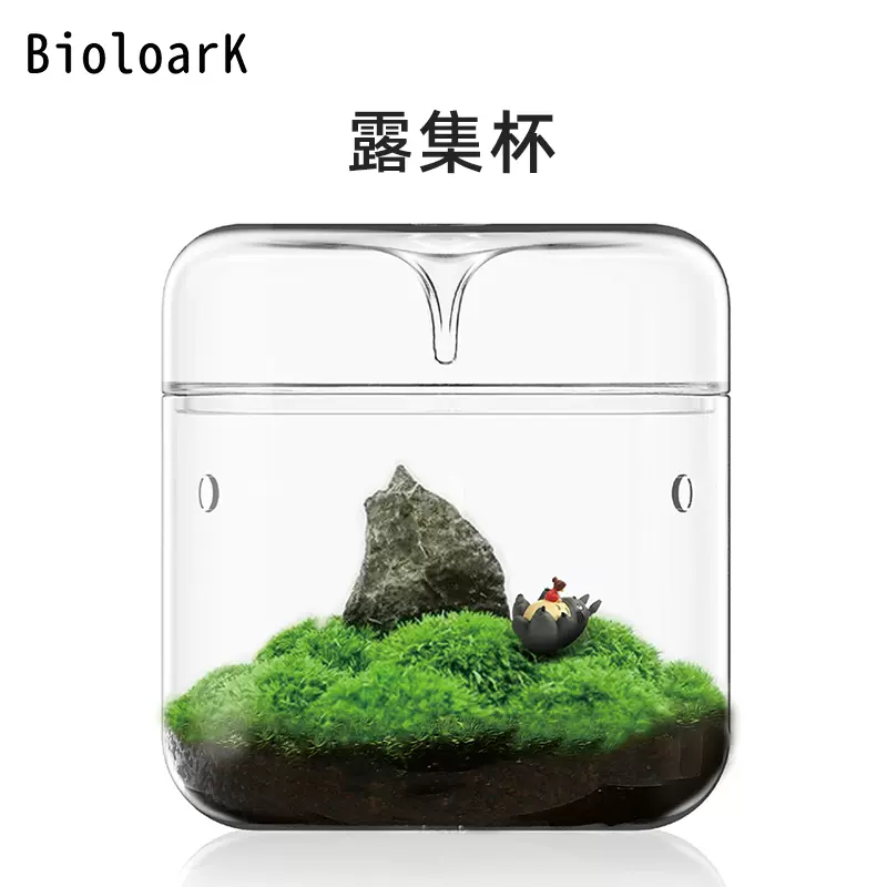 Bioloark露集杯苔藓瓶微景观 集露杯 花卉绿植盆景 集露瓶生态瓶-Taobao