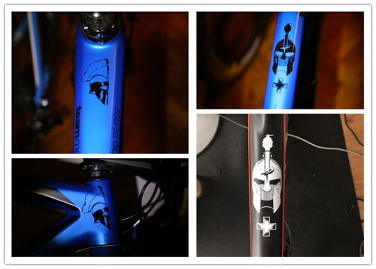 Trek Spartacus Road Bike