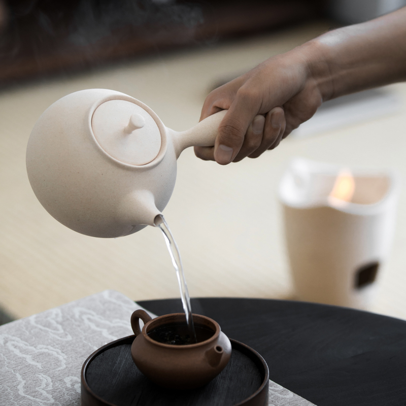 玉光窯 茶窯変平型椿絵急須 セラメッシュ（陶製茶こし
