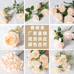 Flowers, Champagne color indoor and outdoor decoration simulated flowers