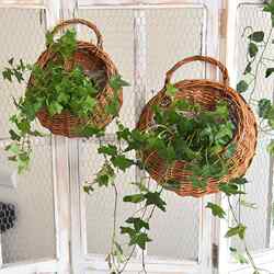 Rattan Wall Hanging Flower Basket, Wall-Mounted Flower Pot for Growing Flowers, Wicker Hanging Woven Handmade Wall Hanging, Pastoral Wall Hanging Basket