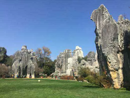 徽黄-西递石林景区