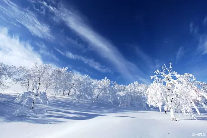 冰零城下之北极冰雪王国图片