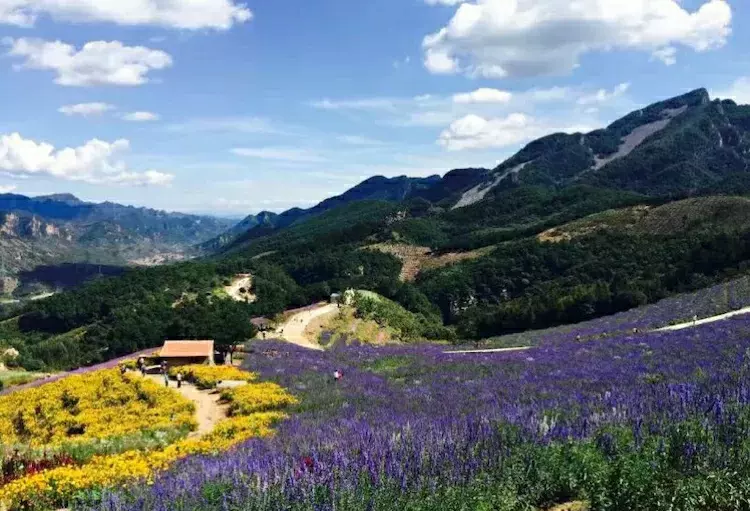 兴隆南天丽景风景区图片