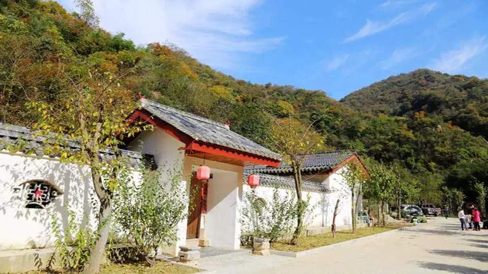 太和梅花谷风景区