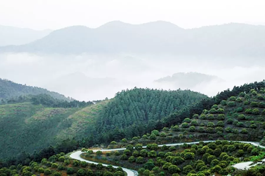 蕉石岭森林公园