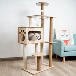 Foreign Trade Pet Supplies: Cat Climbing Frame, Cat Bed, Cat Scratching Board, Cat Tree, Cat Toys, Space Capsule